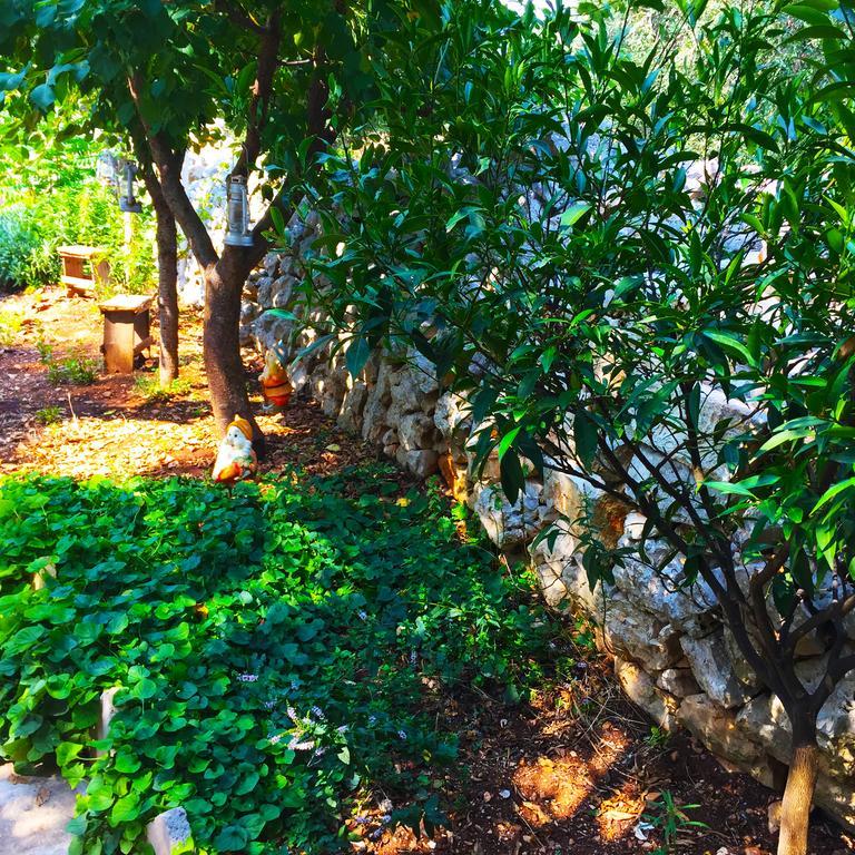 Masseria Nenetta Bed And Breakfast โมโนโปลี ภายนอก รูปภาพ