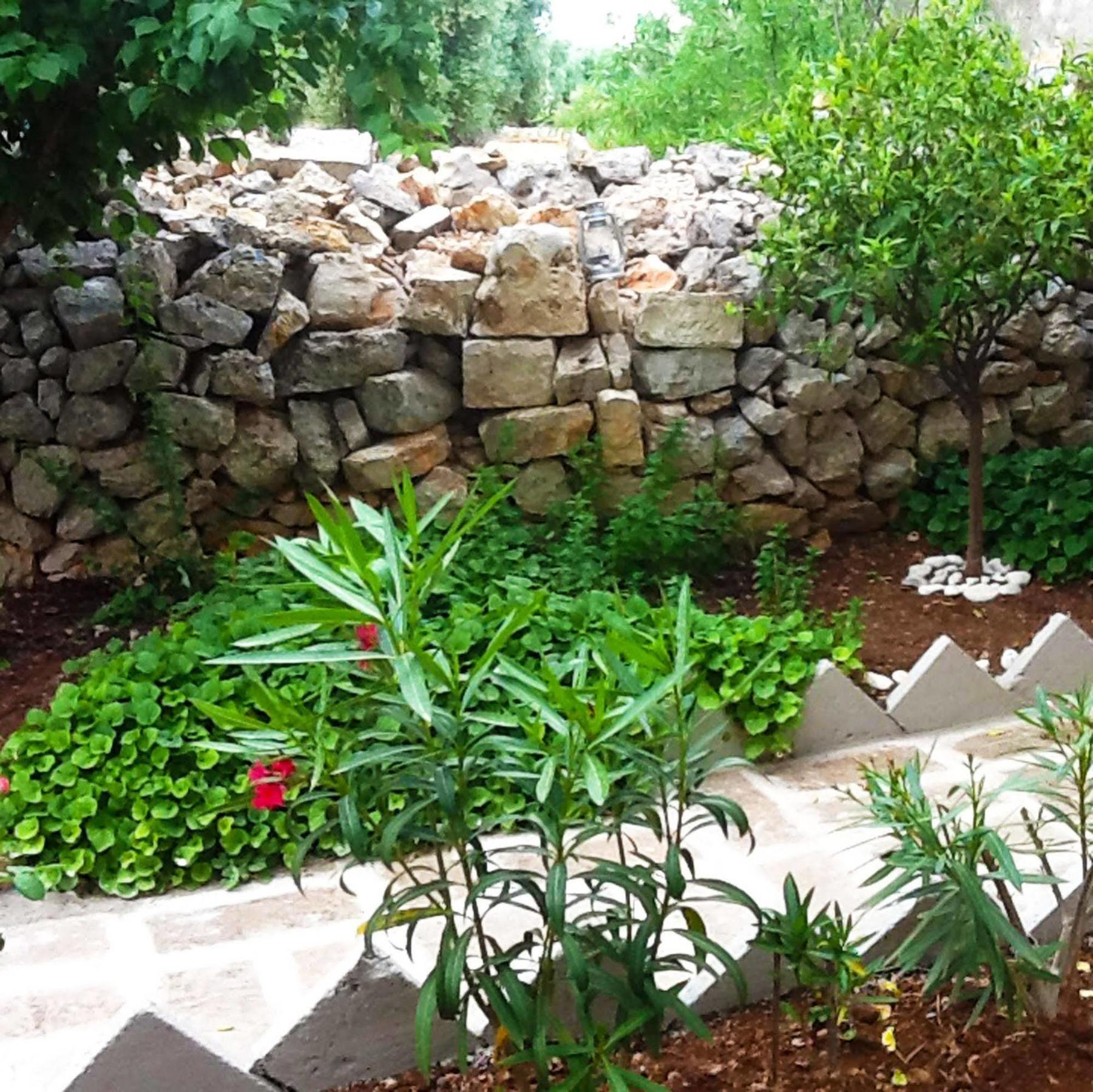 Masseria Nenetta Bed And Breakfast โมโนโปลี ภายนอก รูปภาพ